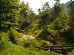 2013-07-20_Regina-F-Rau_Kochel-Rabenkopf (336).JPG